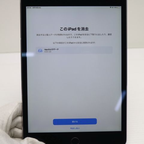 Ķ���� SIM�ե꡼ iPad mini 4 Cellular ����顼 128GB ���ڡ������쥤