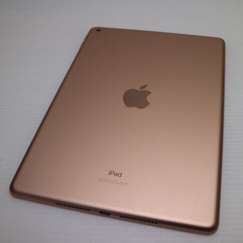 �¿��ݾ� Ķ���� iPad ��8���� Wi-Fi 128GB ������� ¨��ȯ�� ������ȯ��