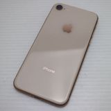 �¿��ݾ��� Ķ���� SIM�ե꡼ iPhone8 64GB �������  �������
