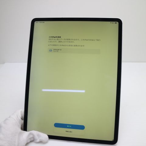 ���� SIM�ե꡼ iPad Pro ��4���� 12.9����� Wi-Fi+����顼  256GB