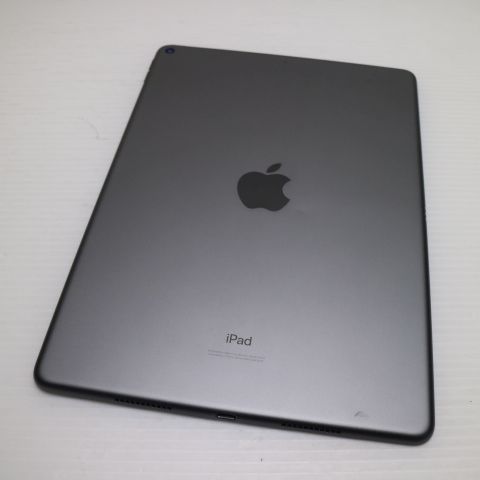 �¿��ݾ� Ķ���� iPad Air 3 wi-fi��ǥ� 256GB  ���ڡ������쥤