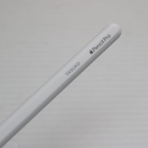 �¿��ݾ� ����Ʊ�� Apple Pencil Pro �ۥ磻��