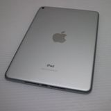 Ķ���� SIM�ե꡼ iPad mini 5 Wi-Fi+����顼  64GB ����С�