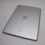 �¿��ݾ� Ķ���� iPad ��9���� Wi-Fi 256GB ����С�