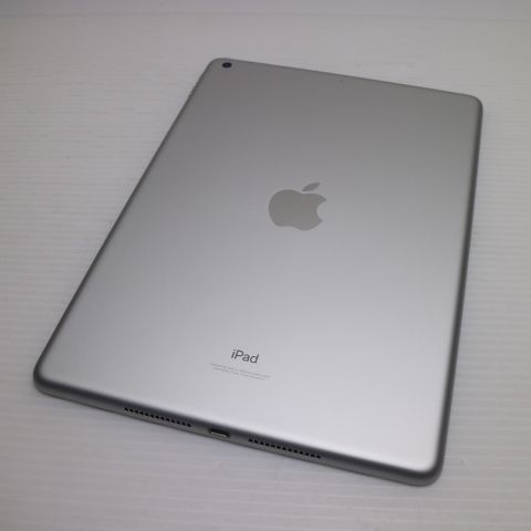 �¿��ݾ� Ķ���� iPad ��9���� Wi-Fi 256GB ����С�