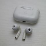�¿��ݾ� ���� AirPods Pro  �ۥ磻��