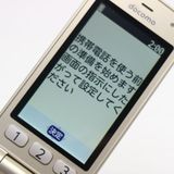 �¿��ݾ��� Ķ���� F-02J �餯�餯�ۥ� �������  �������