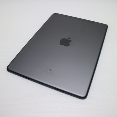 Ķ SIMե꡼ iPad Air 3 Cellular 64GB  ڡ쥤 