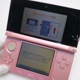 �¿��ݾ��� ���� �˥�ƥ�ɡ�3DS �ߥ��ƥ��ԥ�  �������