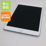 �¿��ݾ��� Ķ���� SIM�ե꡼ iPad mini 4 ����顼 64GB ����С�