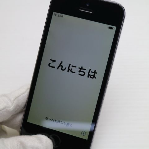 �¿��ݾ��� Ķ���� DoCoMo iPhone5s 16GB ���졼 �֥�å� ����� �������