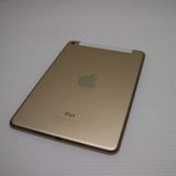 �¿��ݾ��� Ķ���� SIM�ե꡼ iPad mini 4  ����顼 16GB �������