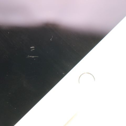 Ķ���� SIM�ե꡼ iPad mini 5 Wi-Fi+ ����顼  64GB ����С�