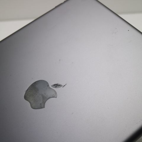 �¿��ݾ� ���� iPad ��9���� Wi-Fi 256GB ���ڡ������쥤