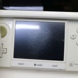 ¿ݾ  ˥ƥɡ3DS ۥ磻  
