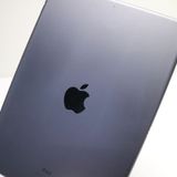 �¿��ݾ� Ķ���� iPad Air 3 wi-fi��ǥ� 256GB  ���ڡ������쥤