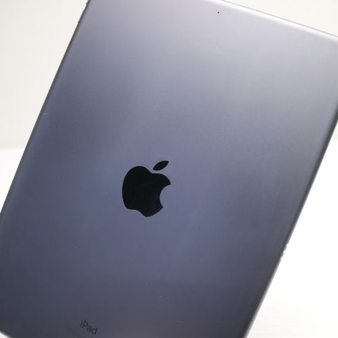 �¿��ݾ� Ķ���� iPad Air 3 wi-fi��ǥ� 256GB  ���ڡ������쥤
