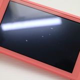 �¿��ݾ� ������� Nintendo Switch Lite �������