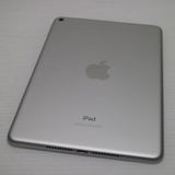 ����Ʊ�� SIM�ե꡼ iPad mini 5 Wi-Fi+����顼  256GB ����С�