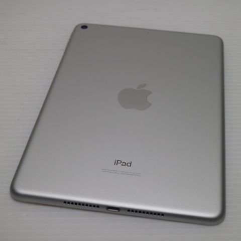 ����Ʊ�� SIM�ե꡼ iPad mini 5 Wi-Fi+����顼  256GB ����С�