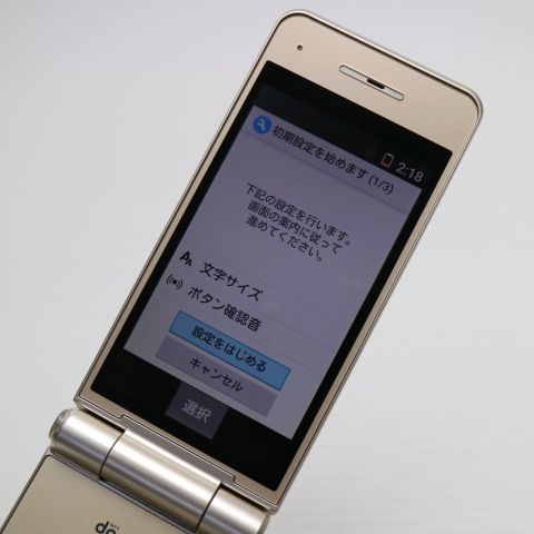 �¿��ݾ��� ���� P-01J P-smart �������� �������  �������