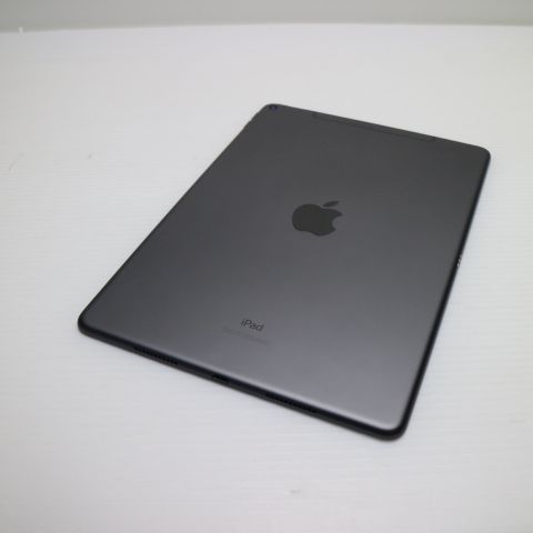����Ʊ�� SIM�ե꡼ iPad Air 3 Cellular ����顼 64GB  ���ڡ������쥤