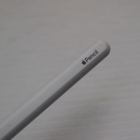 �¿��ݾ� Ķ���� Apple Pencil ��2���� MU8F2J/A (2018) ���å��ڥ�
