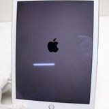 �¿��ݾ��� Ķ���� docomo iPad Air 2 Cellular  16GB �������