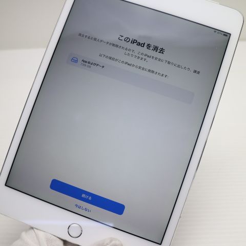 �¿��ݾ��� Ķ���� SIM�ե꡼ iPad mini 4 ����顼 16GB ����С�