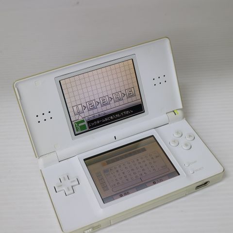 �¿��ݾ��� ������� �˥�ƥ�ɡ�DS Lite �饤�� �ۥ磻��  �������