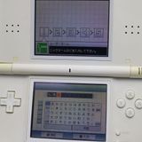 �¿��ݾ��� ������� �˥�ƥ�ɡ�DS Lite �饤�� �ۥ磻��  �������