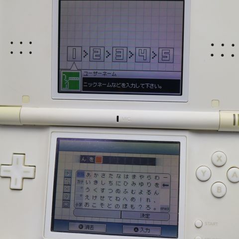 �¿��ݾ��� ������� �˥�ƥ�ɡ�DS Lite �饤�� �ۥ磻��  �������