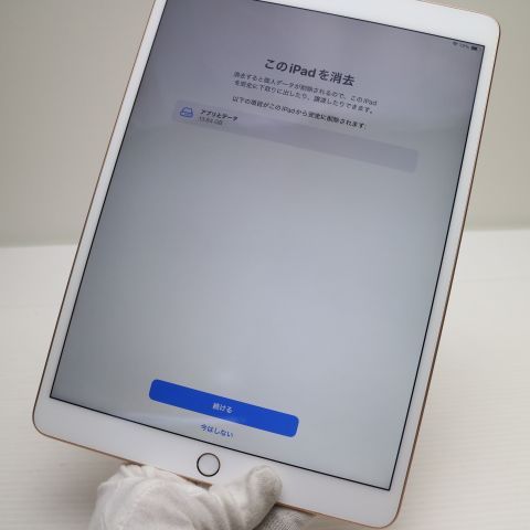 �¿��ݾ� Ķ���� SIM�ե꡼ iPad Air 3 ����顼 64GB  �������