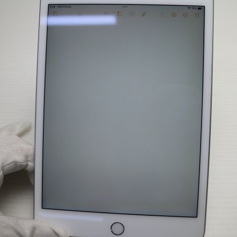 Ķ���� SIM�ե꡼ iPad mini 5 Wi-Fi+Cellular   64GB ����С�