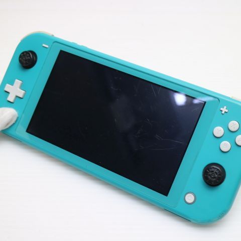 �¿��ݾ� ������� Nintendo Switch Lite ����������
