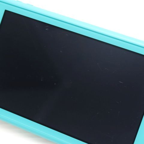 �¿��ݾ� ���� Nintendo Switch Lite ����������