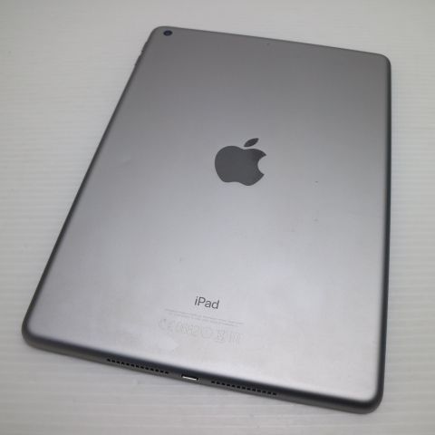 ���� iPad ��5���� Wi-Fi 128GB ���ڡ������쥤