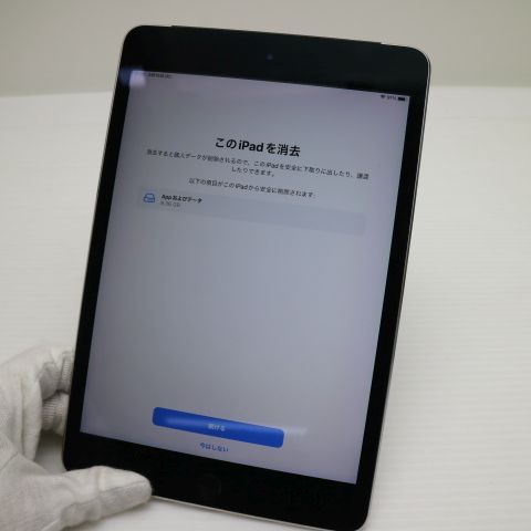 Ķ���� SIM�ե꡼ iPad mini 4 Cellular ����顼 16GB ���ڡ������쥤