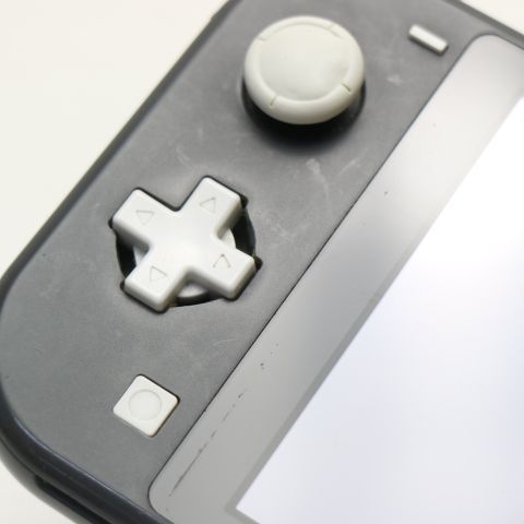 �¿��ݾ� ���� Nintendo Switch Lite ���졼