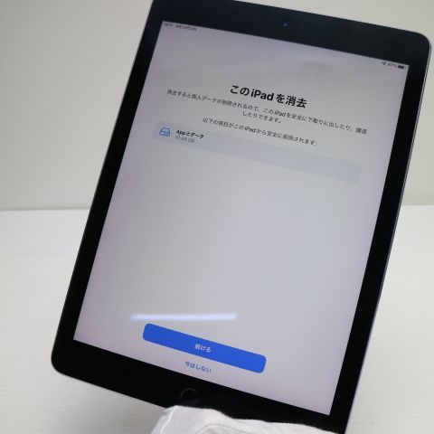 �¿��ݾ� Ķ���� iPad Pro 9.7����� Wi-Fi 128GB ���ڡ������쥤