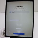  SIMե꡼ iPad Air 3 Cellular 256GB  ڡ쥤 
