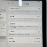 iPad (A16) WiFi+Cellular 512GB �֥롼 SIM���å������