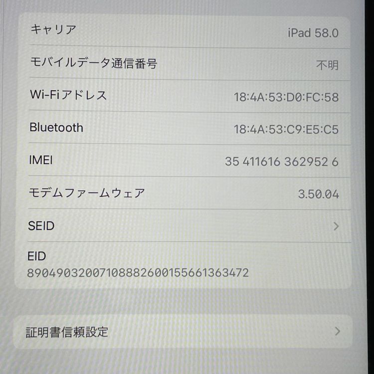 ���������¡��� iPad ��10���� WiFi+Cellular 64GB �֥롼 SIM���å������