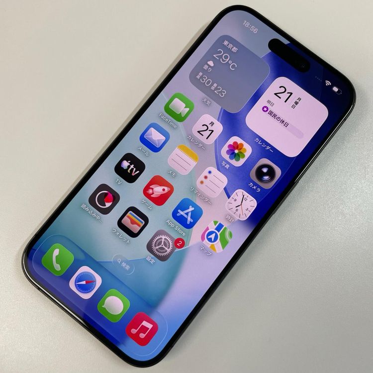 ���������¡��� iPhone 15 Pro 256GB �֥�å������˥��� SIM���å������