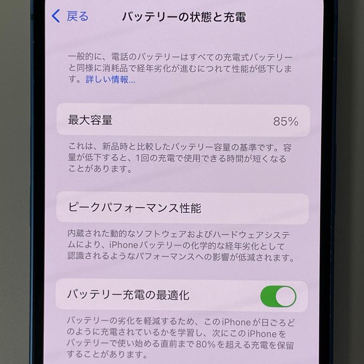 ���������¡��� iPhone 13 512GB �֥롼 SIM���å������