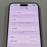 iPhone 15 Pro Max 256GB ʥ˥ SIMå