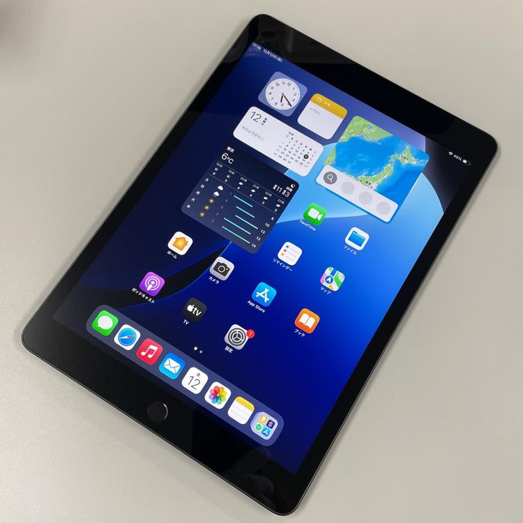 ¡ iPad 9 WiFi+Cellular 256GB ڡ쥤 SIMå