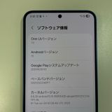 Galaxy S25 Galaxy S25 �ͥ��ӡ� SIM���å������