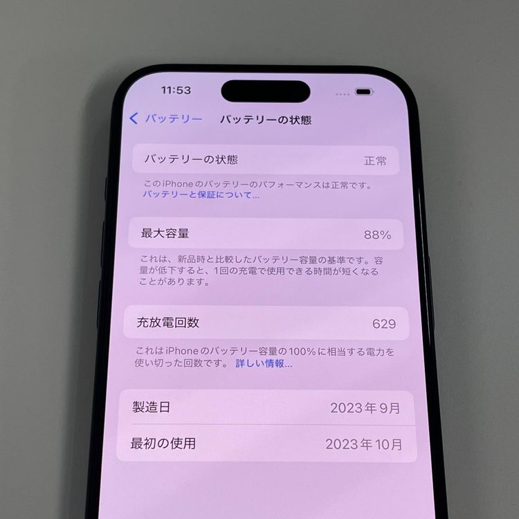 ���������¡��� iPhone 15 Pro 256GB �֥롼�����˥��� SIM���å������