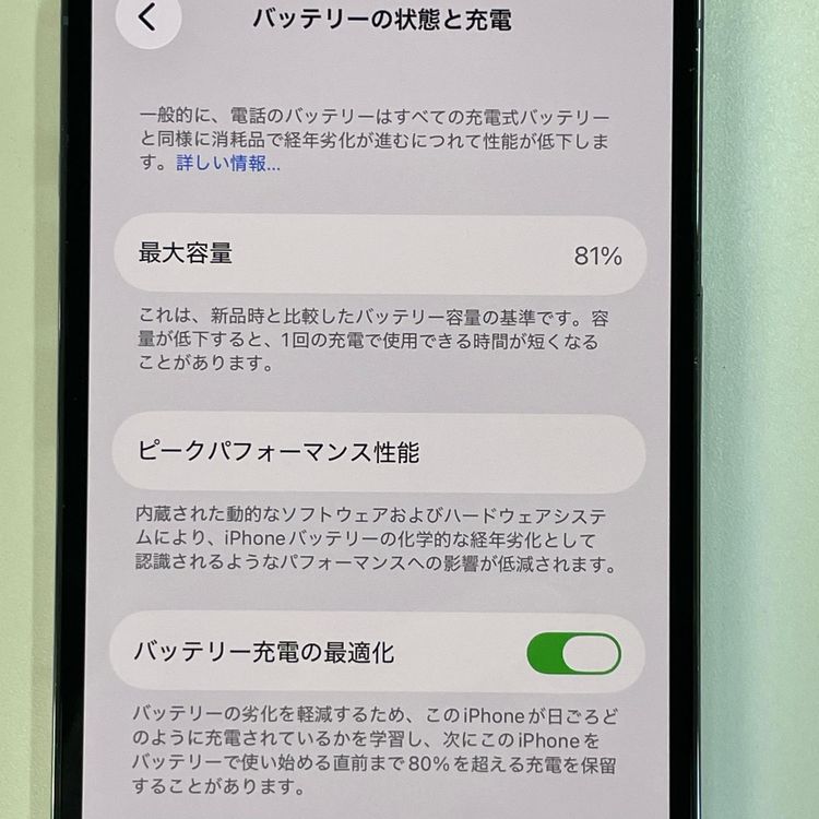 ���������¡��� iPhone 13 Pro 128GB ������֥롼 SIM���å������